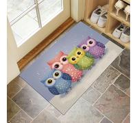 DUOTCYELE Zerbino Ingresso, 60 x 90 cm Tappeto Sottile Gufo Dei Cartoni Animati Microfibre Morbide Con Fondo Antiscivolo Tappeto Il Grazioso Quartiere Orientale per Cane, Ingresso, Porta E Corridoio