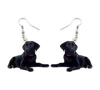 DUOWEI Orecchini pendenti a forma di cane labrador in acrilico, per donne, adolescenti, ragazze, regali di compleanno, Medio, Acrilico, Nessuna pietra preziosa