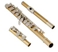 Durabilità Bronzo Verde 16 Fori Flauto Strumento Musicale con Scatola Panno di Pulizia per Studenti e Hobbyists Musica Educazione Flauto