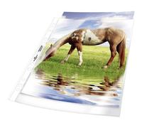 Durable 267719 Busta 2677 DIN A4 Polipropilene 0.08 mm Trasparente 50 pz.