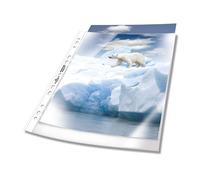 Durable 268219 - Busta premium forata per cataloghi, f.to A4, finitura buccia d'