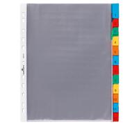 Durable 663319 Punched Pockets Index Set with 12 Divisions - Transparent 12-part