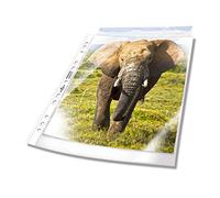 Durable Busta Perforata A4 Extra Large, 240 x 310 mm, 90 mm, Trasparente, 50 Pezzi