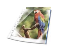 Durable Premium A4 Punched Pocket with Coloured Edge Blue Crystal Clear and Ma