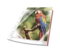 Durable Premium A4 Punched Pocket with Coloured Edge Red Crystal Clear and Mad