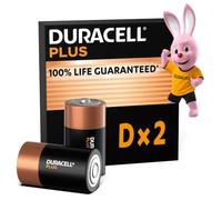 Duracell Plus 100 D B2 x10