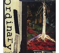 Duran Duran - Ordinary Wolrd