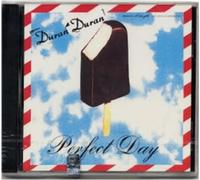 Duran Duran - Perfect Day