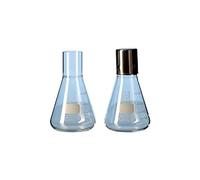 DURAN Erlenmeyer 21 771 36 - Fiaschetta con collo dritto per tappi in metallo, capacità 250 ml (confezione da 10)