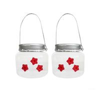 Durashmall Mangiatoia per colibrì da appendere per esterni, con 3 porte e finestra trasparente per un facile monitoraggio del nettare, stazione rustica per uccelli da giardino, design in plastica, per