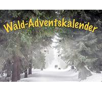 Durch den Wald im Advent: Erlebnisraum Wald: Tiere, Pflanzen und Bäume in Bild und Text