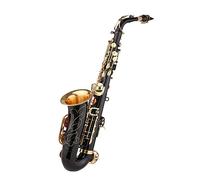 Durevole Sassofono Contralto In Ottone Sax E-flat Con Custodia Per Il Trasporto Del Bocchino Per Principianti Sassofono per principianti Kit