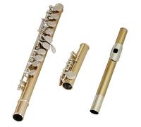 Durevolezza Strumento musicale flauto a 16 fori in bronzo verde con panno per la pulizia della scatola per studenti e hobbisti Flauto per l'educazione musicale