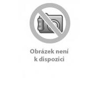 Durhamsti Byci (Bull Durham) (Versione ceca)