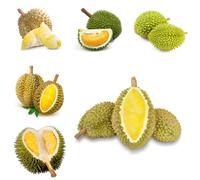 durian insieme - colonnari resistenti per balconi samen giardino semi per letti alti semi giardino 250pcs