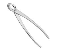 Durlo Tronchese Per Rami Bonsai Tronchese Per Rami in Acciaio Utensile Per Tagli Bonsai Strumento Per Potatura Forche Rami