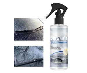 Duroecsain Detergente per parabrezza Invio, antigelo, 100 ml, per la rimozione di liquido per il lavaggio dei vetri, per la rimozione di e gelo su parabrezza e parabrezza in inverno