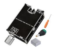 Duroecsain Modulo Amplificatore Audio - Modulo Amplificatore Mono da 100 W, accessorio portatile per subwoofer con potenziamento dei bassi per eventi esterni