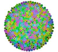 Durratou 1900pcs Glow in the Dark Beads Mix 9 colori bagliore perline luminose perline di capelli acrilici sfusi perline di plastica