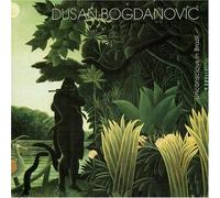 Dusan Bogdanovic - Unconscious in Brazil