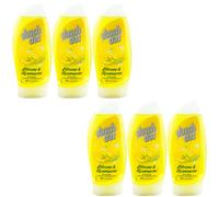 Dusch das Gel Doccia Limone & Rosmarino 6 X 250ml Ohe Mikroplastik Antico