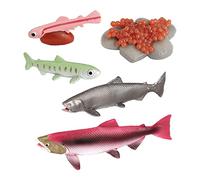 DuskHaven E Salmone Nero, Apicoltura, Giocattoli Biologici, Salmone