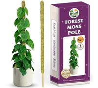 DUSPRO Bastone per piante monstera pieghevole, grande, pieghevole, 150 cm, per piante da interno, supporto per grandi pothos, totem di muschio della foresta, per grossi passi, grandi dimensioni