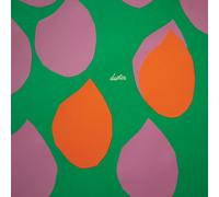 Duster Moods, Modes (Vinyl LP) 12" Album Box Set