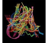 Dustin Wong Perpetual Morphosis (CD) Album