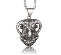 DUTACK Collana con ciondolo a forma di cranio, in acciaio inox 316L, con ciondolo gotico, amuleto occulto, unisex, per uomini e donne