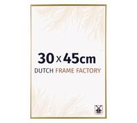 Dutch Frame Factory - Cornice 30x45 cm - Oro - Cornice per foto in Plastica con vetro plastico Antiriflesso - Cornice portafoto 30x45 cm - Easy