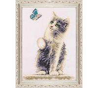 DUTCH STITCH BROTHERS - Kit Punto Croce Contato - DSB013A - Gatto con Farfalla - Aida Bianco - 34 x 24 cm - Kit Fai Da Te per Adulti