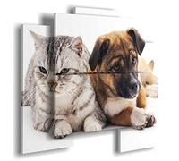 duudaart Quadro Moderno Cane Gatto Piccolo Animali Cuccioli Amore Multilivello 89x77cm