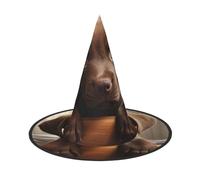 DUWAA Simpatico cane labrador 1 stampa stampa Halloween appeso cappelli da strega accessori costumi, decorazioni per casa, cortile, portica-3 pezzi