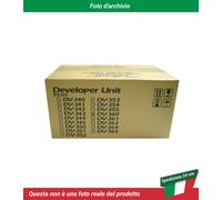 DV-360 Kyocera Mita FS-4020DN Unità Sviluppatore Nero