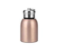 Dvagoent Borraccia Piccola da Borsetta Doppio Strato Thermos Piccolo per Caffè Vuoto Mini Borraccia, con Passante per Il Trasporto, Dimensioni Compatte, 220g, 300ml, Acciaio Inox (Oro)