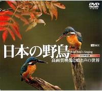 シンフォレストDVD 日本の野鳥 高画質映像と鳴き声の世界 Wild bird's Singing