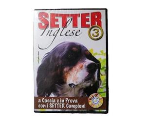 DVD A CACCIA CON IL SETTER INGLESE 3 ( A CACCIA E IN PROVA CON I SETTER CAMPIONI)
