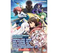 DVD An Archdemon's Dilemma: How to Love Your Elf Bride Vol.1-12 END English Dub