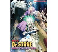 DVD Anime Dr. Stone Stagione 1-4 (1-94 Fine) + Speciale, Dub Inglese (Tutte...