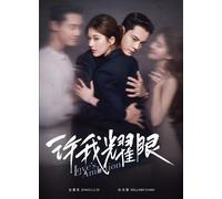 DVD Chinese Drama Love's Ambition 许我耀眼 (1-32 End) Sottotitolo inglese, All Re...