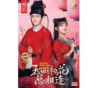 DVD Chinese Drama The Lady in Butcher's House 玉面桃花总相逢 (1-16 End) English SUB