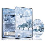 DVD di Natale - Neve di Fallimento e Inverno Wonderland con bel Paesaggio invernale e Nevicate