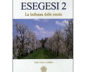 DVD ESEGESI 2 - LA BELLEZZA DELLE ERESIE - IGOR SIBALDI