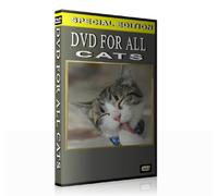 DVD for all Cats (When you are not at home)