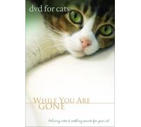 DVD For Cats: While You Are Gone