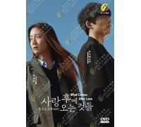 DVD Korean Drama What Comes After Love (1-6 End) sottotitolo inglese, tutte...