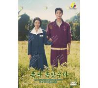 DVD Korean Drama When Life Gives You Tangerines (1-16 End) doppiaggio inglese...