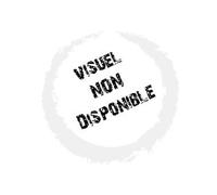 DVD MR PEABODY ET SHERMAN LES VOYAGES DANS LE TEMPS/BLU-RAY (Blu-ray)