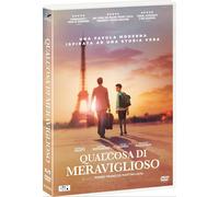 Dvd Qualcosa Di Meraviglioso